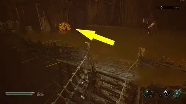 无边的树海在哪关(树海任务攻略)