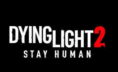 消逝的光芒1地图有多大，消逝的光芒地图大吗