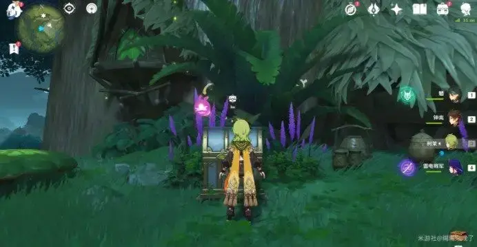 解密水天丛林的任务攻略，这是独到的见解