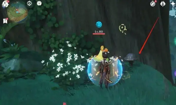 解密水天丛林的任务攻略，这是独到的见解