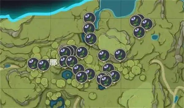 原神帕蒂沙兰分布地点列表