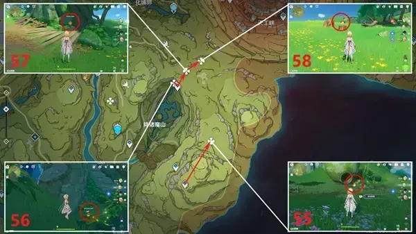 原神3.0兰那罗位置列表——64个兰那罗位置汇总 原神3.0兰那罗位置列表——64个兰那罗位置汇总