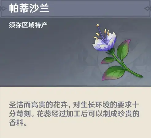 神3.0帕蒂沙兰最初的收藏路线是怎样的？-帕蒂沙兰收藏路线