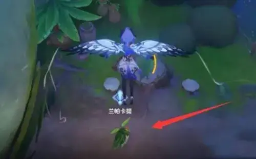 原神塞西莉亚苗圃只找到三个幽灵(原神塞西莉亚苗圃最后一个精灵在哪里)
