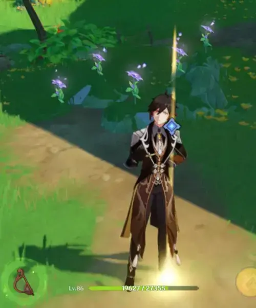 原神椿任务怎么完成(原神如何完成山中植物任务) 原神椿任务怎么完成(原神如何完成山中植物任务)