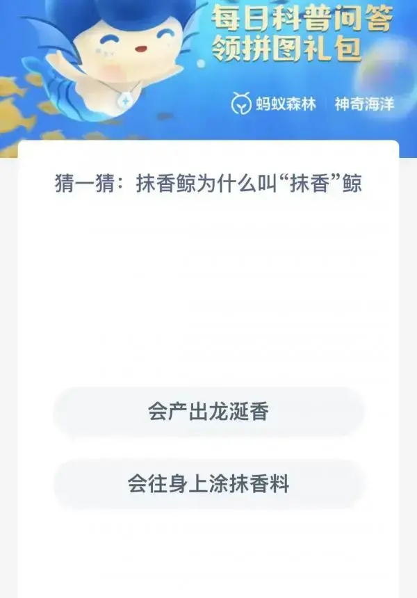 抹香鲸是怎么叫的(抹香鲸是鲸鱼的一种吗)