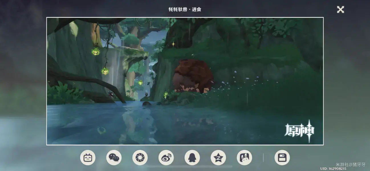 原生动物行为介绍-什么是动物行为？