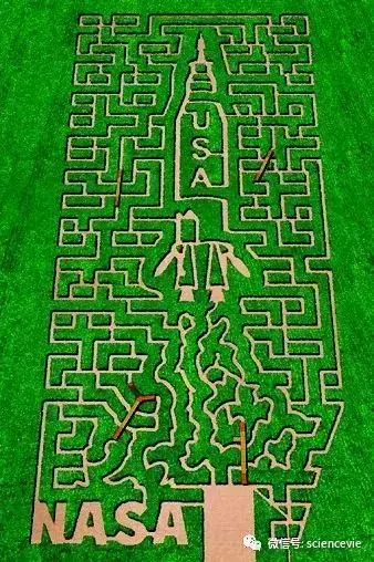 洛奇英雄传迷宫|《世界树迷宫X》：老树苗终于在3DS上长成了森林