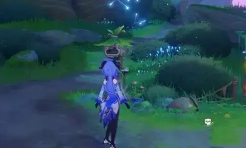 原神塞西莉亚苗圃只找到三个幽灵(原神塞西莉亚苗圃最后一个精灵在哪里)