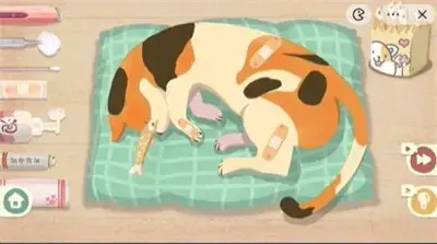 收纳物语第28关救助喵喵通关方法分享