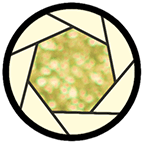 景深计算器APP下载