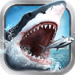 口袋钓鱼,钓鱼手游,休闲手游