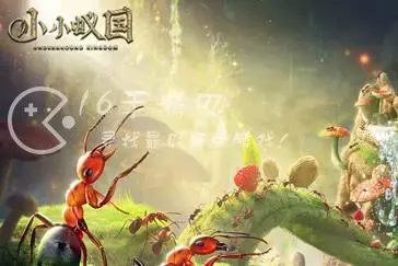 小小蚁国怎么快速发展 快速发展攻略