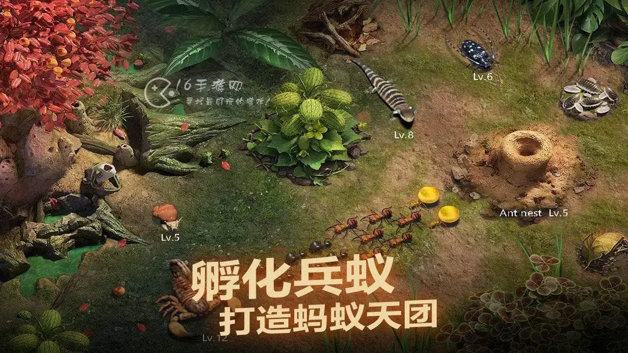 小小蚁国怎么快速发展 快速发展攻略