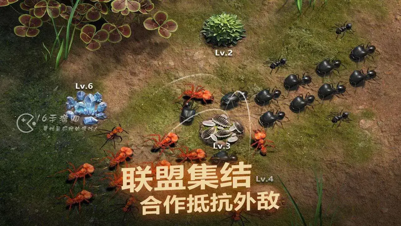小小蚁国vip价格表 vip等级一览