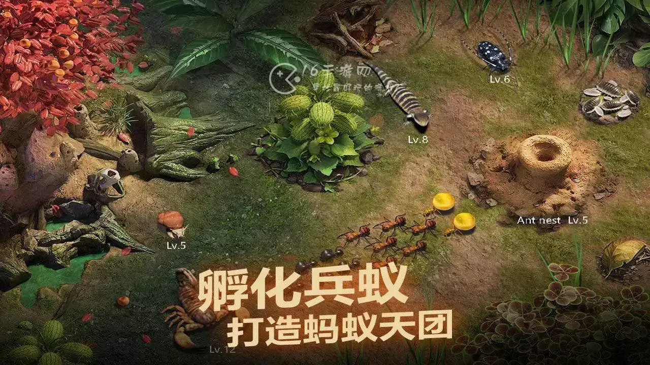 小小蚁国vip价格表 vip等级一览