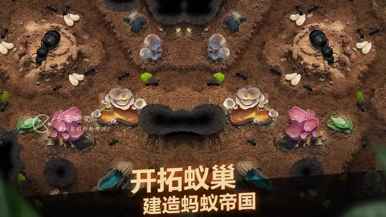 小小蚁国怎么快速升级 快速升级发展攻略