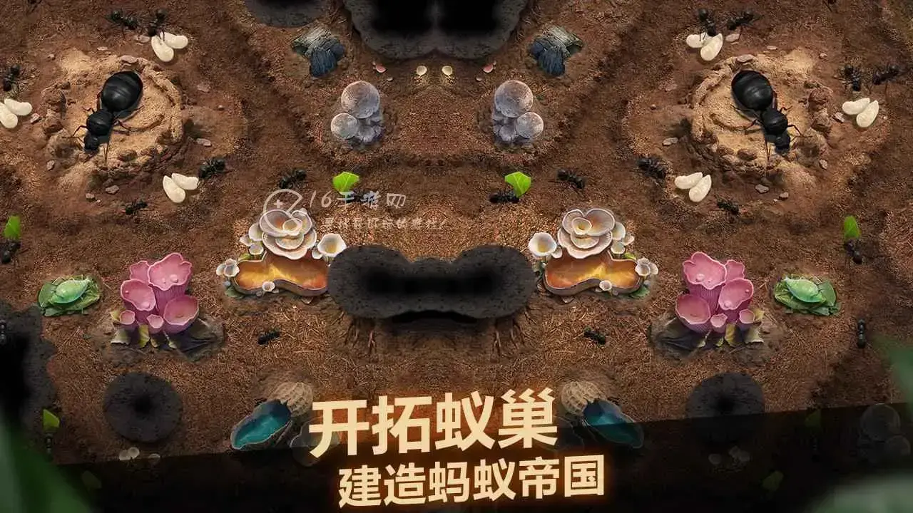小小蚁国怎么交易资源 资源获取方式