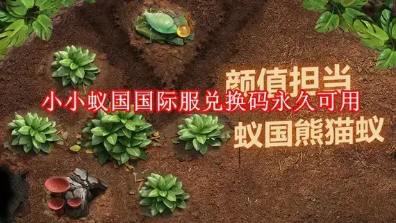 小小蚁国国际服兑换码是多少 小小蚁国国际服兑换码永久可用