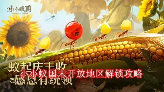 小小蚁国地区未开放怎么办 小小蚁国未开放地区解锁攻略
