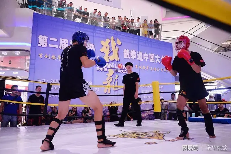 大番长格斗|日本格斗界三大战斗力：小鹰、菲多、卡列宁