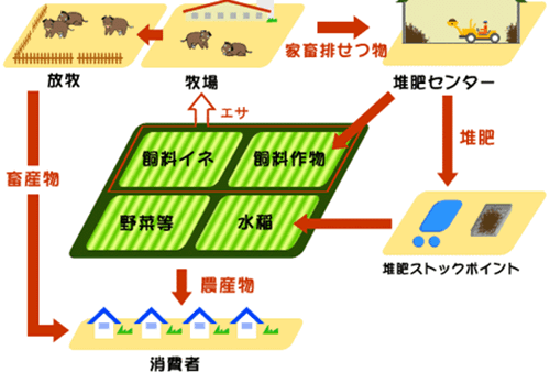 家庭农场修改器|家庭农场成为现代农业发展的“领头羊”