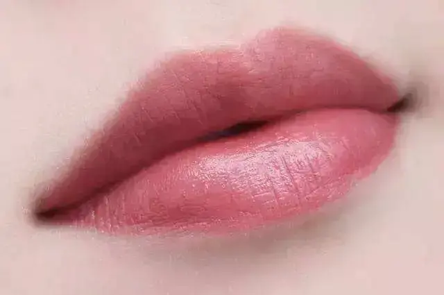 猪猪色|小而美的口红猪猪进来了解一下？