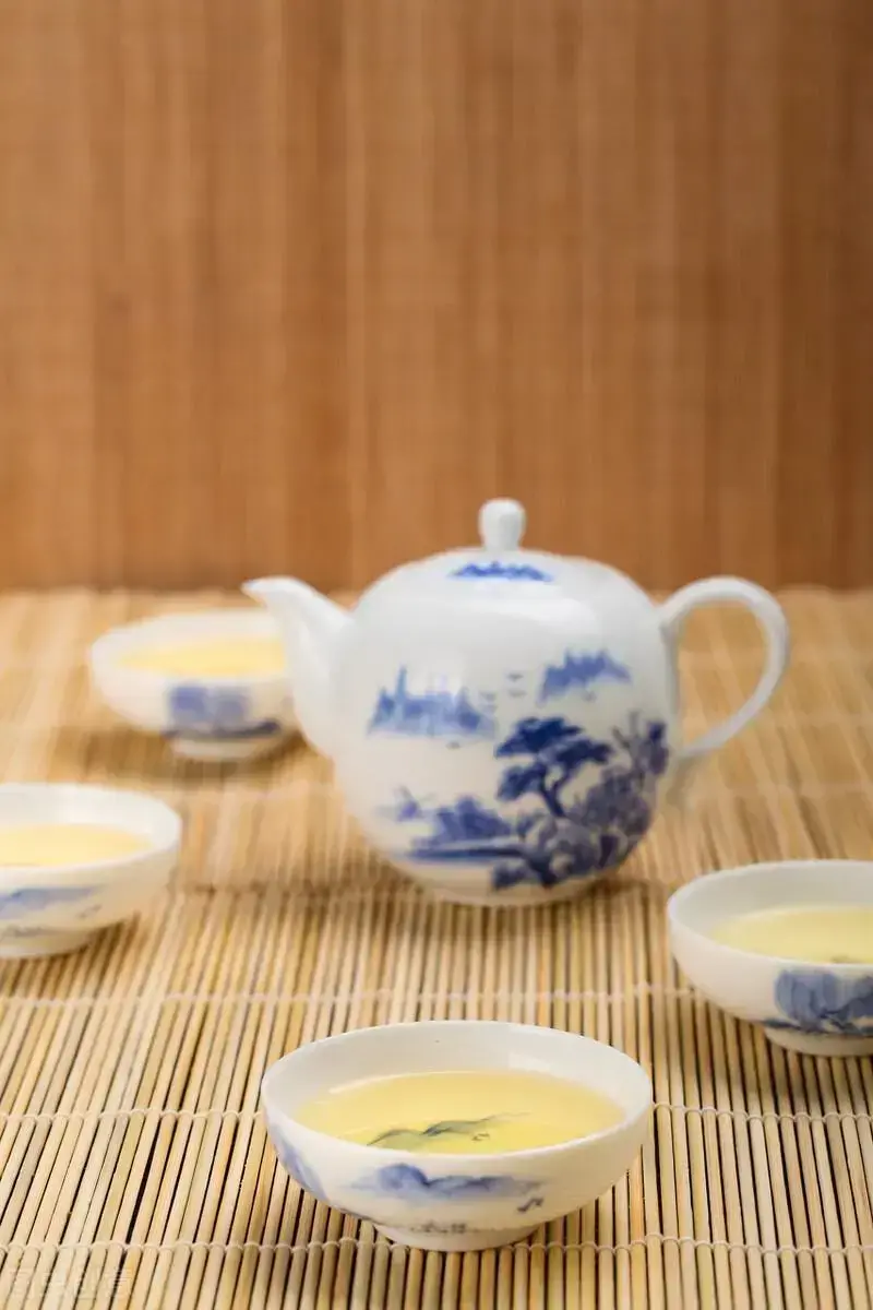 植物大战僵尸玩法大全，植物大战僵尸,攻略