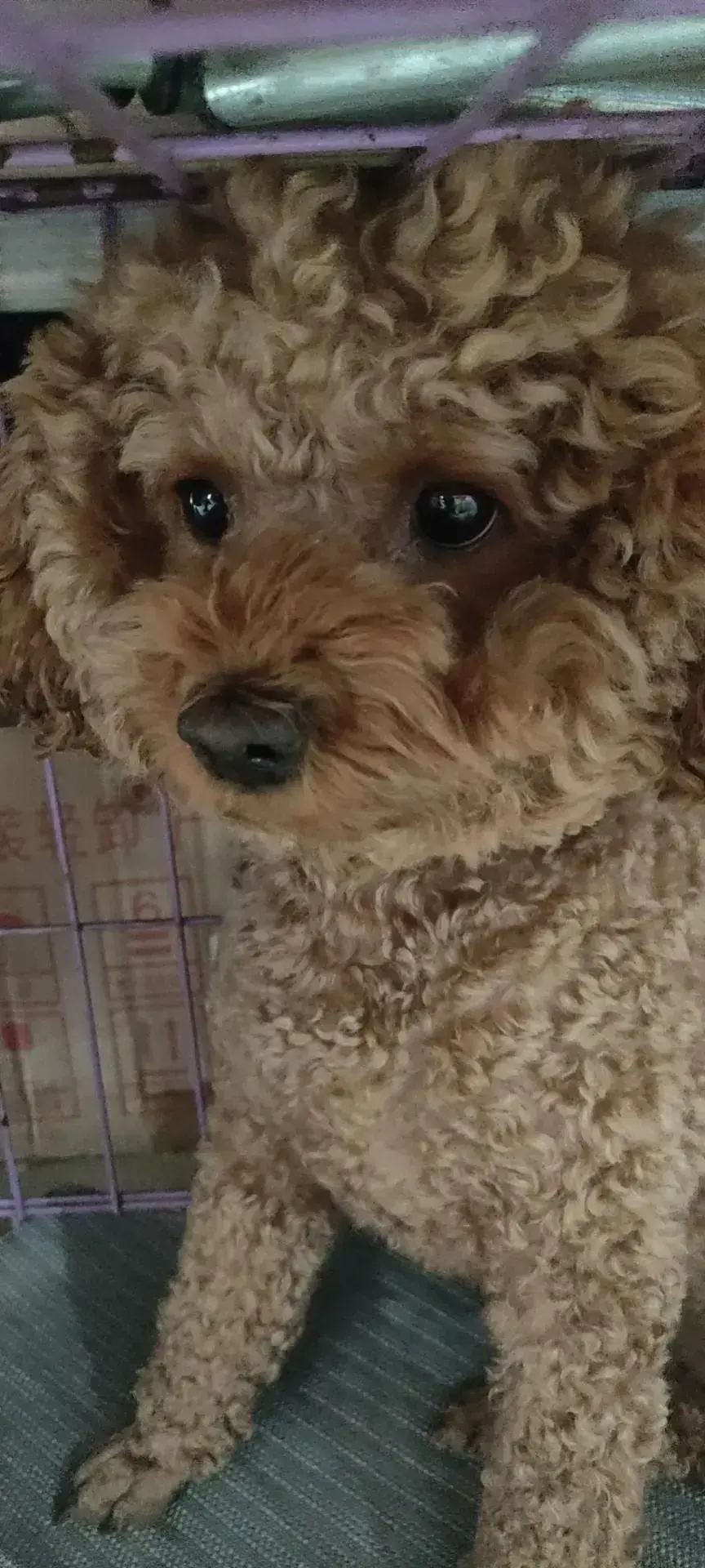 和平精英怎么稳住枪，和平精英最不稳的枪