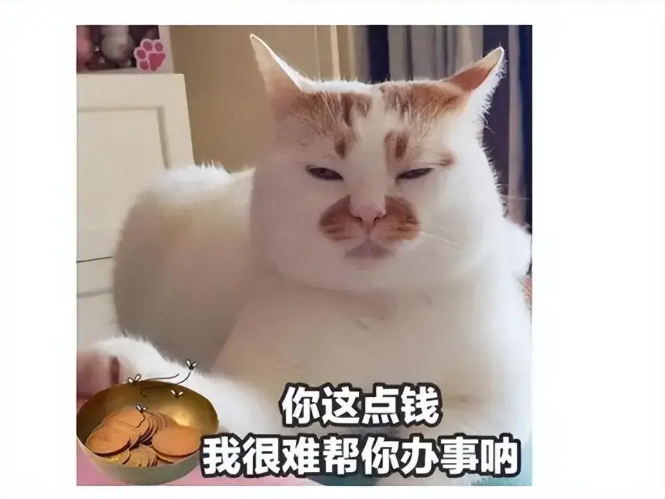 原神3.0哪个国家，原神1.4版本排名