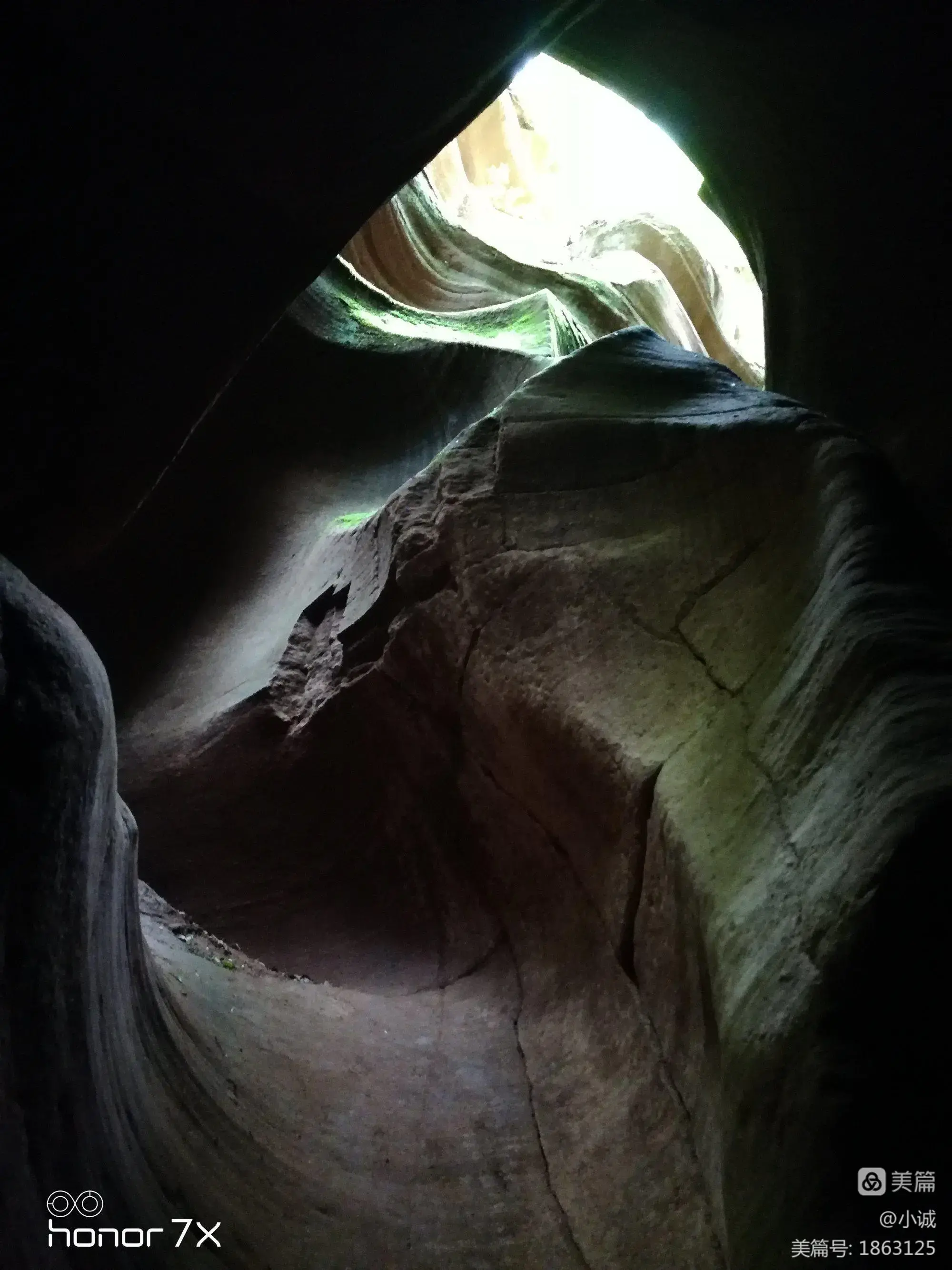 峡谷异变的原因|世界变异人小说*