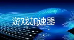 网际快车网游加速器|月轮网游加速器v9.0.0.2