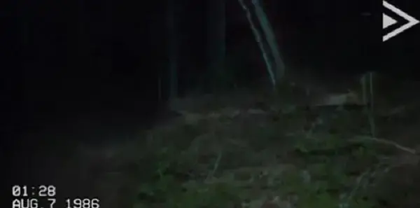 瘦长鬼影3 瘦长鬼影3