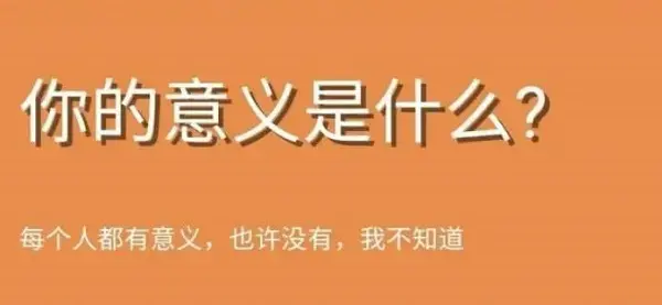 你的意义是什么鬼东西