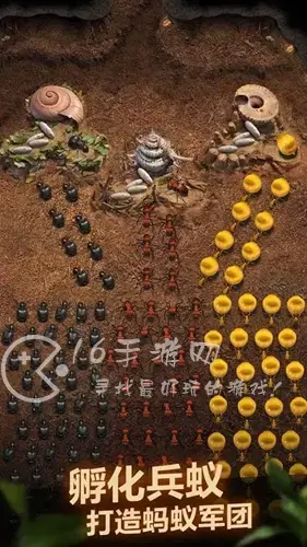蚁族崛起最强阵容，蚁族崛起后期养什么阵容