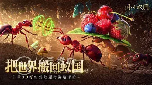 小蚁帝国兑换码礼包领取，小蚁帝国兑换码礼包领取视频