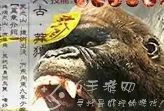 山海经异兽录远古之森通关攻略，山海经异兽录远古之森怎么打