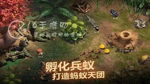 小小蚁国vip尊享礼包价格，小小蚁国vip价格表