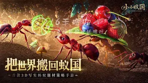小小蚁国最强阵容，小小蚁国特化蚁最强搭配