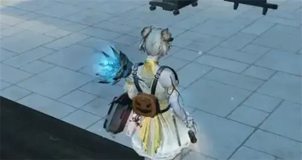 明日起第五季更新时间表