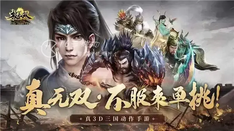 极无双赵云灵宠技能怎么搭配，极无双赵云和张辽谁值得培养