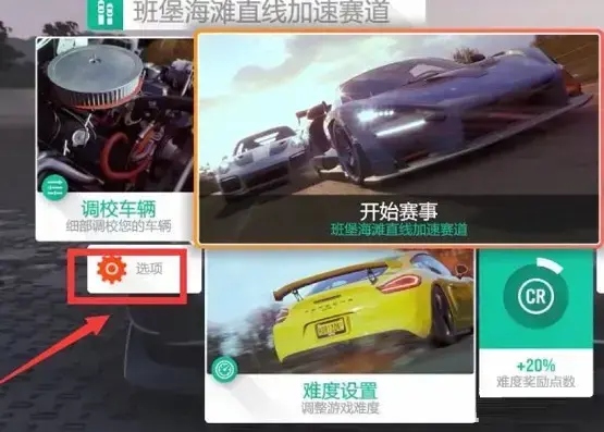 极限竞速:地平线4方向盘振动设在哪里？