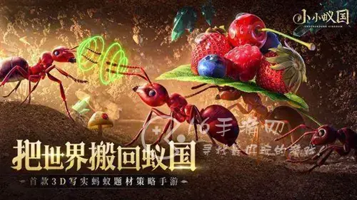 小蚁帝国兑换码礼包领取视频，小蚁帝国兑换码分享