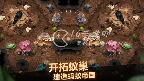 蚁族崛起小兵阵容，小小蚁国最强区域战