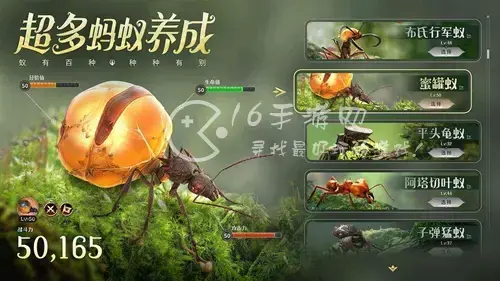 攻打土拨鼠，小土拨鼠怎么养