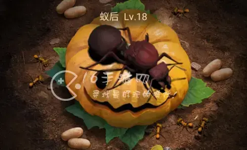 小小蚁国最强区域战，小蚁帝国怎么玩