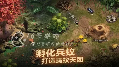 开局一只蚁vip价格表 满级vip需要多少钱