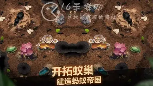 蚁族崛起后期最强阵容，蚁族崛起最强阵容秘法搭配