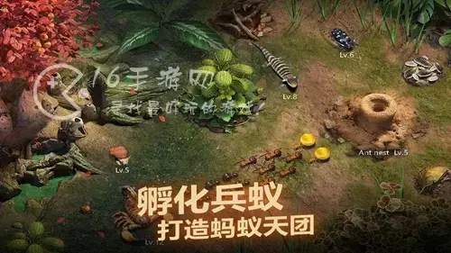 蚁族崛起后期最强阵容，蚁族崛起最强阵容秘法搭配