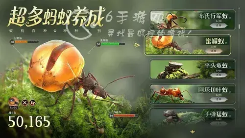 蚁人部落最强阵容，蚁族崛起新手最强阵容